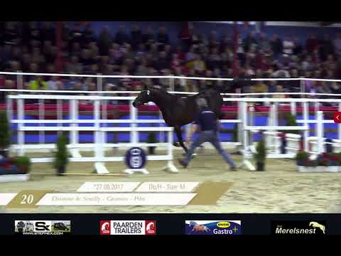 Mistral W v. Diamant de Semilly