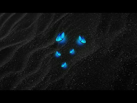 Big Niqo - “NIKO DOWN” [Official Audio]