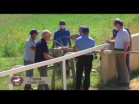 Corse di addestramento - Mociano 1 luglio 2020