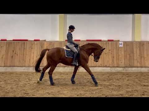 Quaterback-Sohn DSP Quanta Costa