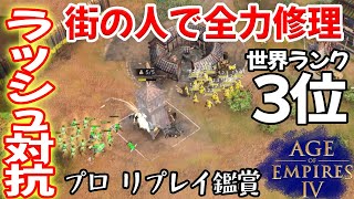 イングランドの塔ラッシュには塔＋街の人で追い返せます【中国 vs イングランド, 乾アラビア, Age of Empires 4, AOE4 ゲーム実況】