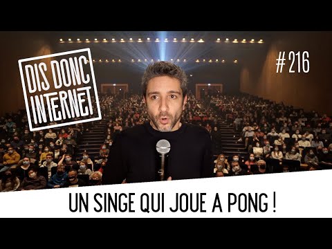 Une puce dans ton cerveau et un singe qui joue à Pong. // VERINO - Dis Donc Internet #216
