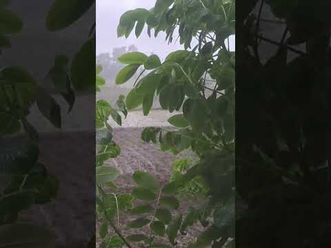 🌧️ पटना में शुरू हुई प्री-मानसून बारिश! ☔ गर्मी से मिली राहत | Bihar Weather Update 2026 | Patna