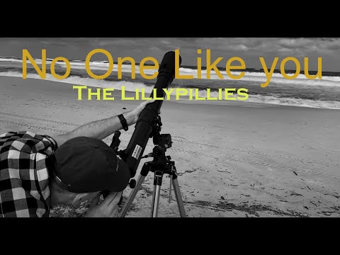 The Lillypillies - No One Like You