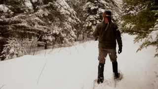 Adirondack Snowshoe Walkabout