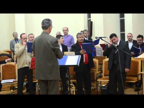 Grup de misiune Arad - Cor barbatesc