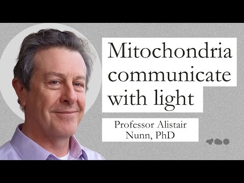 Alistair Nunn: Bioelectricity, Biophotons & Quantum Biology | Ricci Flow Nutrition Podcast