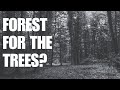Forest for the Trees? You’re Missing the Whole Point