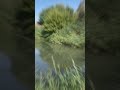 Земельные участки у воды от 2,5 соток в коттеджном поселке - fotosurat 1