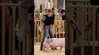 Download lagu Just two Girls that Love Livestock Shows! #showpigs #livestockshow mp3 Download lagu Just two Girls that Love Livestock Shows! #showpigs #livestockshow mp3