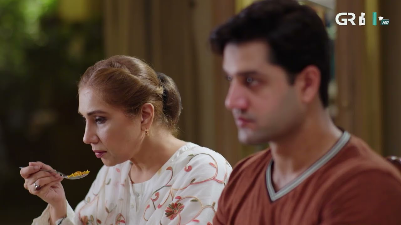 Aik Bhool Episode 68 | Best Moment 03 | Green TV Entertainment