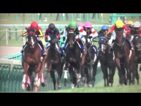 MIRCO Congratulations 😃 🌸Oka Sho (G1) 🌸 Hanshin Racecourse🏇