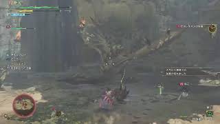 歴戦王なのか？