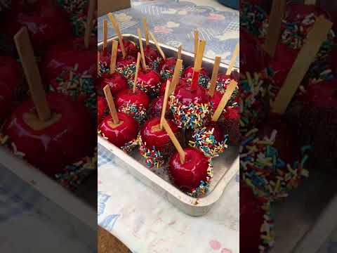 Confira como está sendo a 4ª Festa do Polvilho do Mato Seco #bomdespacho #minasgerais #prefeiturabd