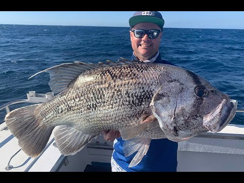 IFISH Geraldton jigging for Coral Trout & Dhufish
