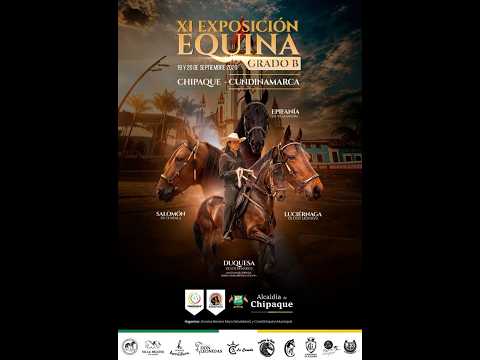 EXPOSICIÓN EQUINA CHIPAQUE 2026  grado B - día 2