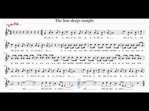 The lion sleeps tonight - Flauto dolce - Note - Spartito - Instrumental - Canto - Karaoke - Musica