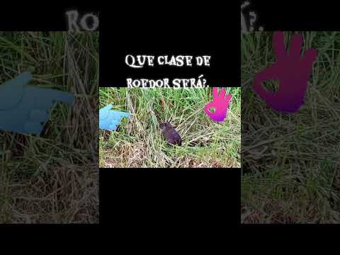 Cañuelas Buenos Aires 🇦🇷🇦🇷🇦🇷💙💛💙👌.... Arheee 😃😅🤣.