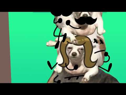 TROC 5 — Challenge 9: That Fat Cat Goes Splat!