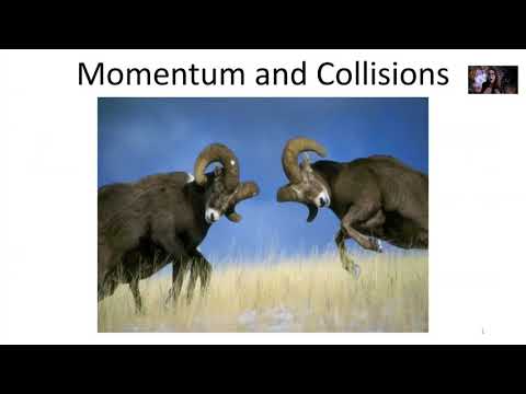 Week 8 PHY 221 - Impulse