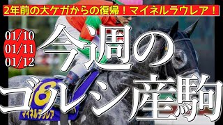 今週のゴールドシップ産駒 (01/10,11,12)【2年前の大ケガからの復帰！マイネルラウレア！／ファルコンミノル,ゴージャスなど】