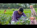 Indian Rural Life Delicious Food And Beautiful Nature