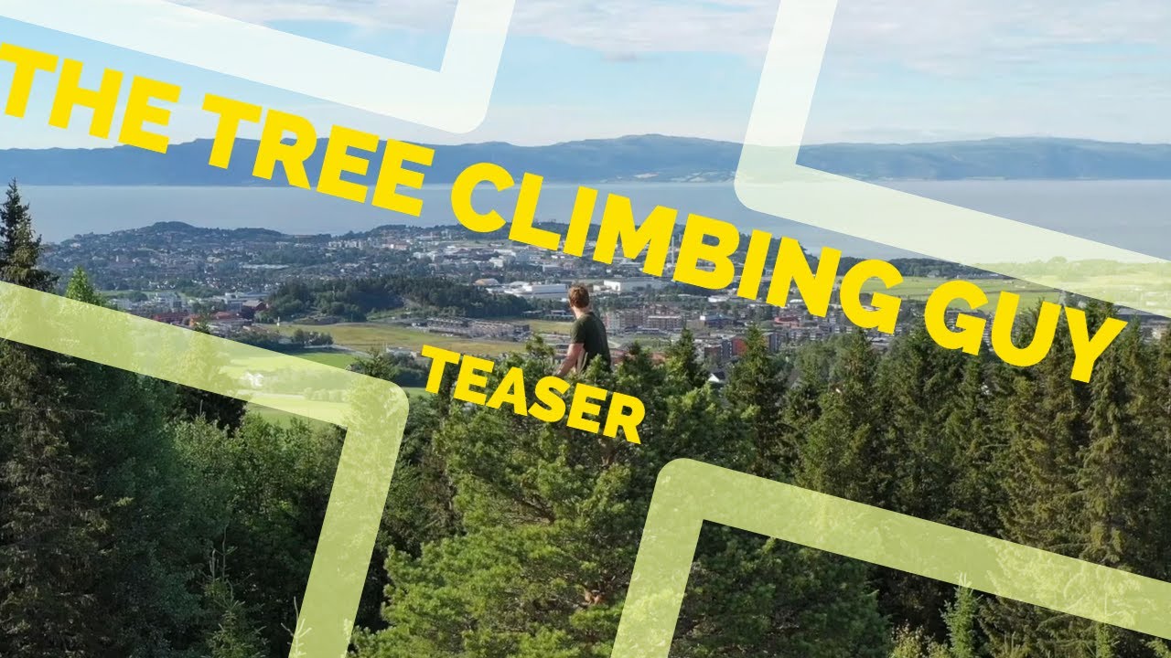 TEASER:  Treeclimbingguy – the documentary