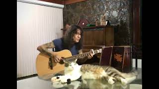 Luiz caldas - How You Gonna See Me Now? (Alice Cooper,  Bernard Taupin e Richard Wagner)