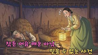 Download lagu 잠든 머슴을 깨운 마님, 믿을 수 없는 사건 | 야담·민담·전설·설화·옛날이야기 mp3