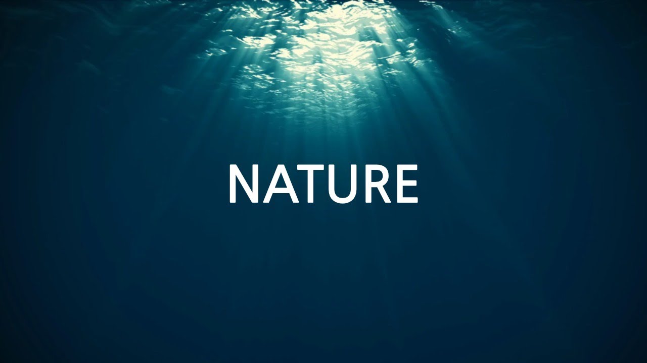 Free Save Earth Video Template (Customizable) - FlexClip