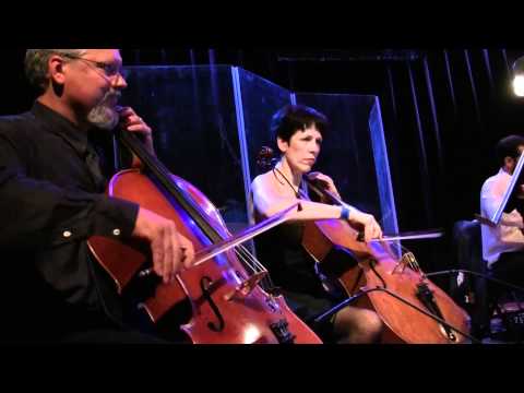 Portland Cello Project perform Pantera's 