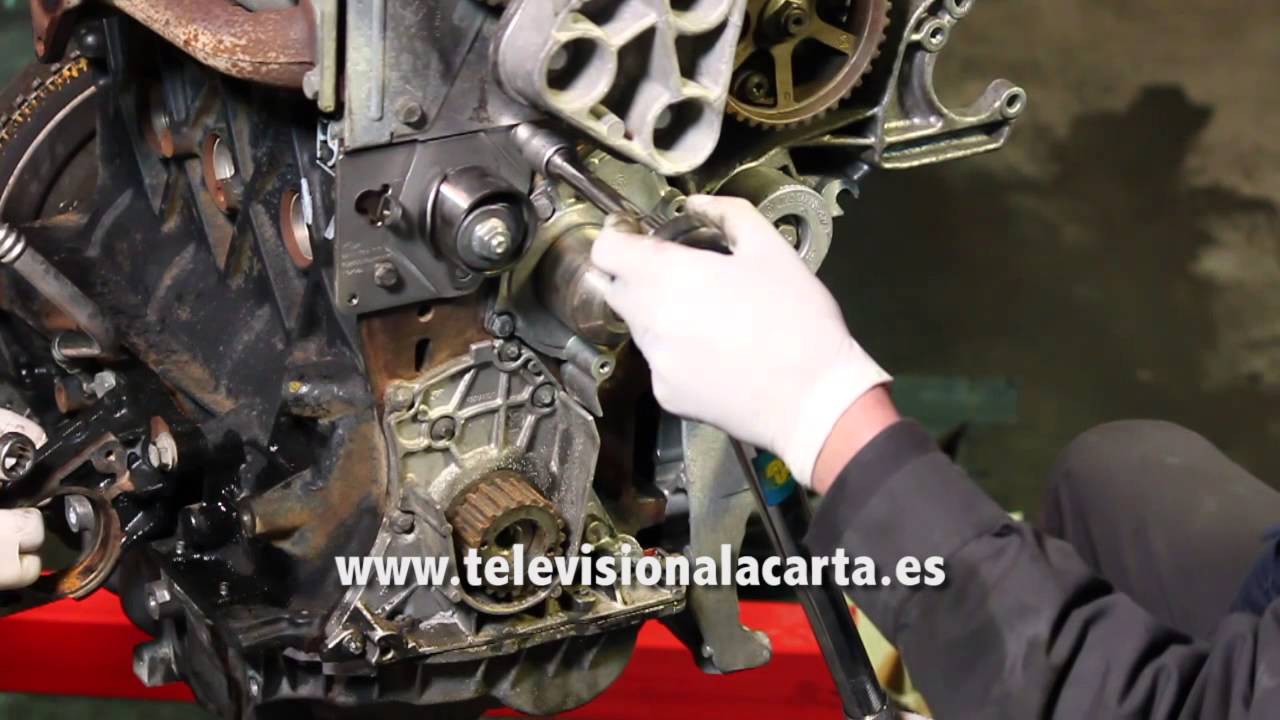 Watch Cambio de la correa de distribución Now Cambio de la correa de distribución