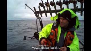 Рыбалка в карелии на лосося онега