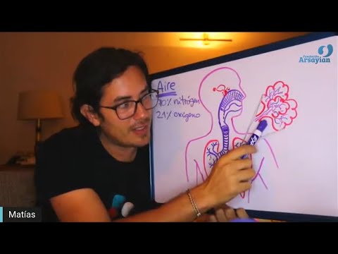 Day 293 RESPIRATORY & IMMUNE SYSTEM - Matias De Stefano - English Edit