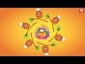 Best Pongal Wishes Wish You Happy Pongal Whatsapp Status