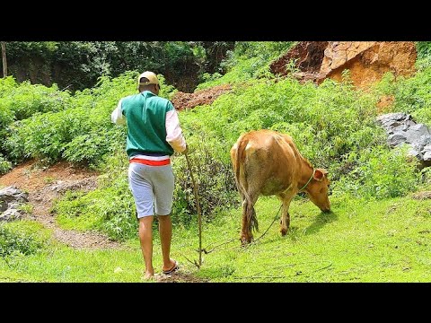 SABIRI - UNCLE STYLES  (SKIZA SMS 5969347 TO 811)