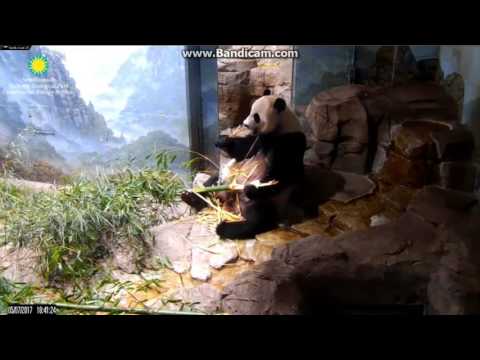 2017.05.07 MOM MEI'S DINNER