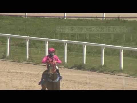 201009 c04 - MI PROMESA 1° - SINT PAYSANDU