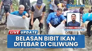 Pemkot Bogor Tebar 15 Ribu Bibit Ikan di Sungai Ciliwung, Walkot: Jangan Dipancing Dulu