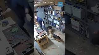 German Shepherd Yanks Owner Clear Seconds Before Fireball Erupts Violently