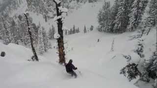 Jackson Hole American Daydream