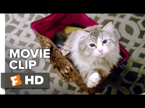 Nine Lives Movie CLIP - Who Needs a Litter Box? (2016) - Kevin Spacey Movie