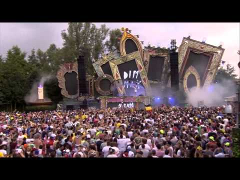Steve Aoki playing 'Get Down' at Tomorrowland 2014