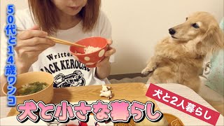 犬との小さな暮らし【50代シングルと14歳ワンコ】【ワンコと2人暮らし】