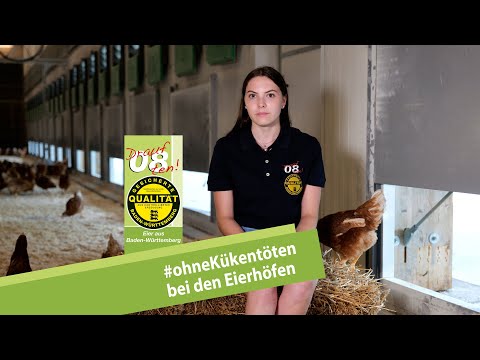 , title : '#ohneKükentöten bei den Eierhöfen'