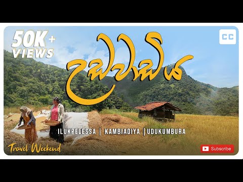 Udawadiya Village Travel Documentary | Gona Panna Ella #overlanding #travelweekend #offroad #4x4