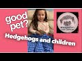 Kids and Hedgehogs | are they good pets for children?