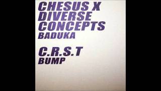 Chesus X Diverse Concepts - Baduka