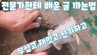 굴껍데기 까는방법 무서우면서 쉽네요 ㅎ 조개 해산물 어패류 전원일기 인간극장