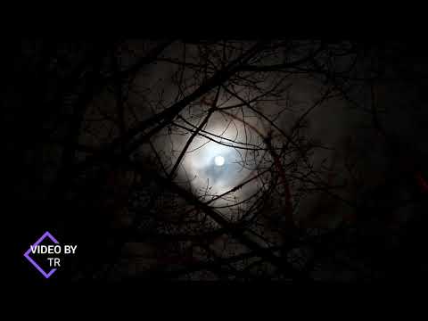 Joan Alasta (Joan Project) Haunted